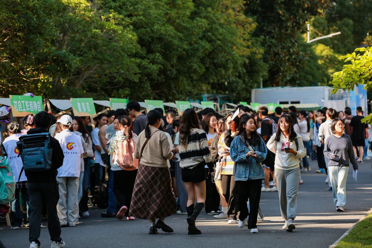 活动内容 活动内容