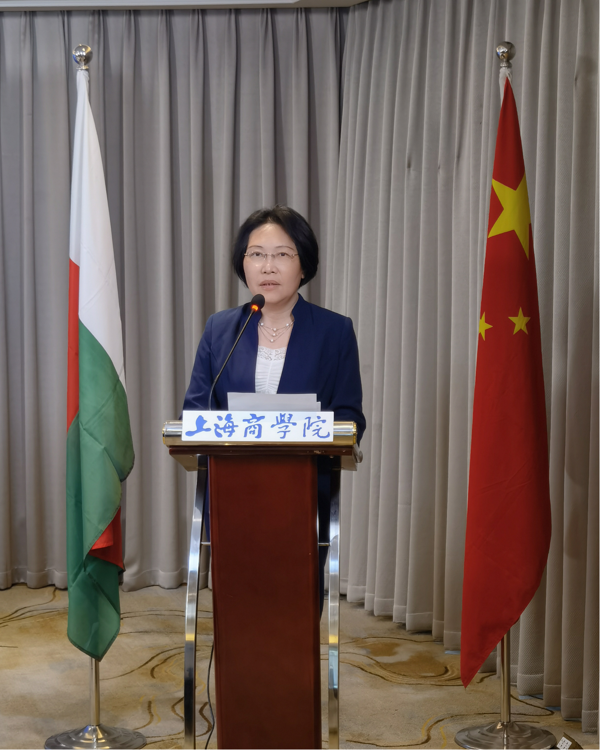 图为刘蓓敏发言